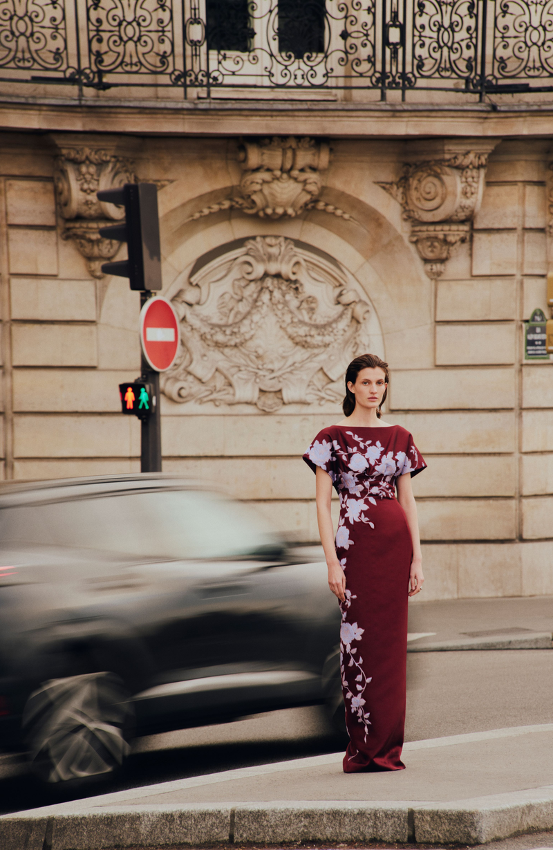 Rose Fil Coupe Column Gown
