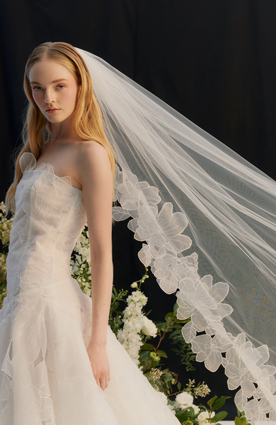 The Mayfair Veil