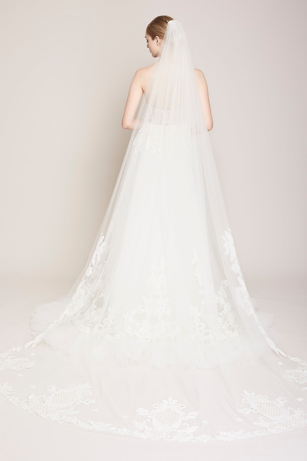 The Ashby Veil
