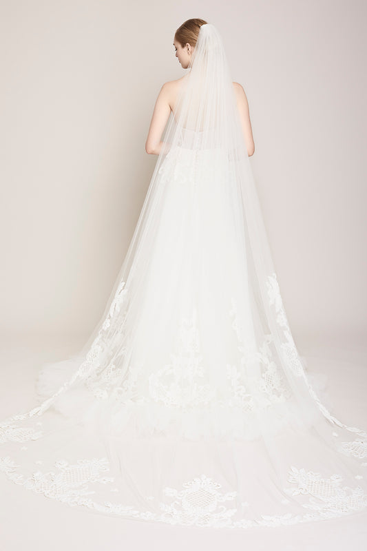 The Ashby Veil