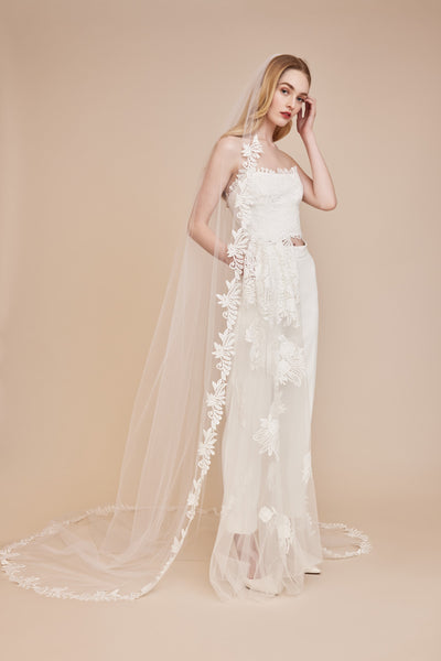 The Belvedere Veil