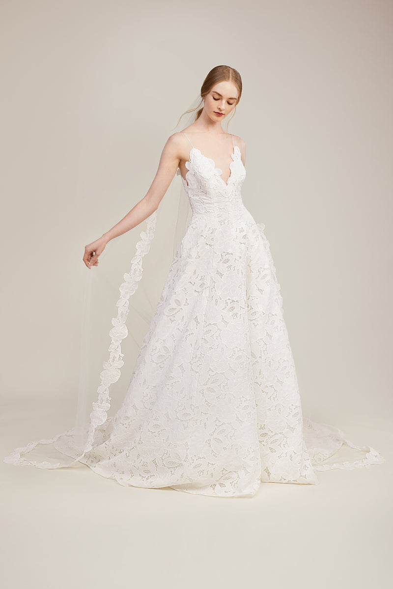 The Bristol Veil