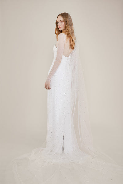 The Carlisle Veil