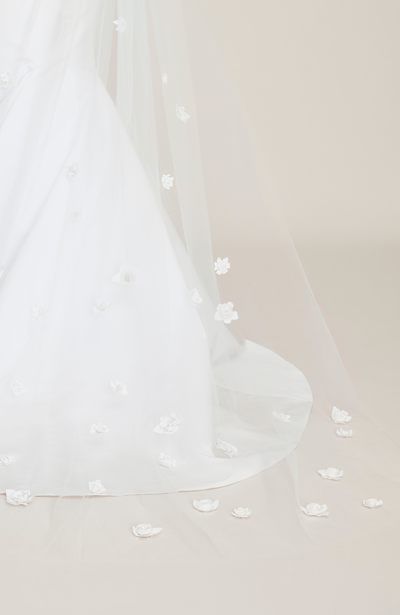 The Florence Veil