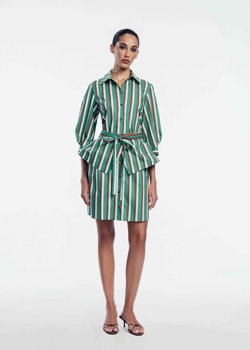 Striped Cotton Belt Shirt Dress