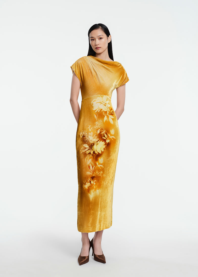 Floral Printed Velvet Draped Dress