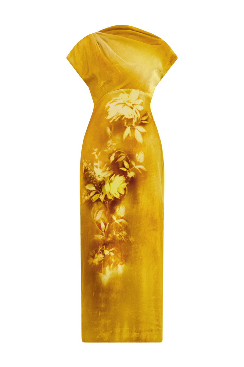 Floral Printed Velvet Draped Dress