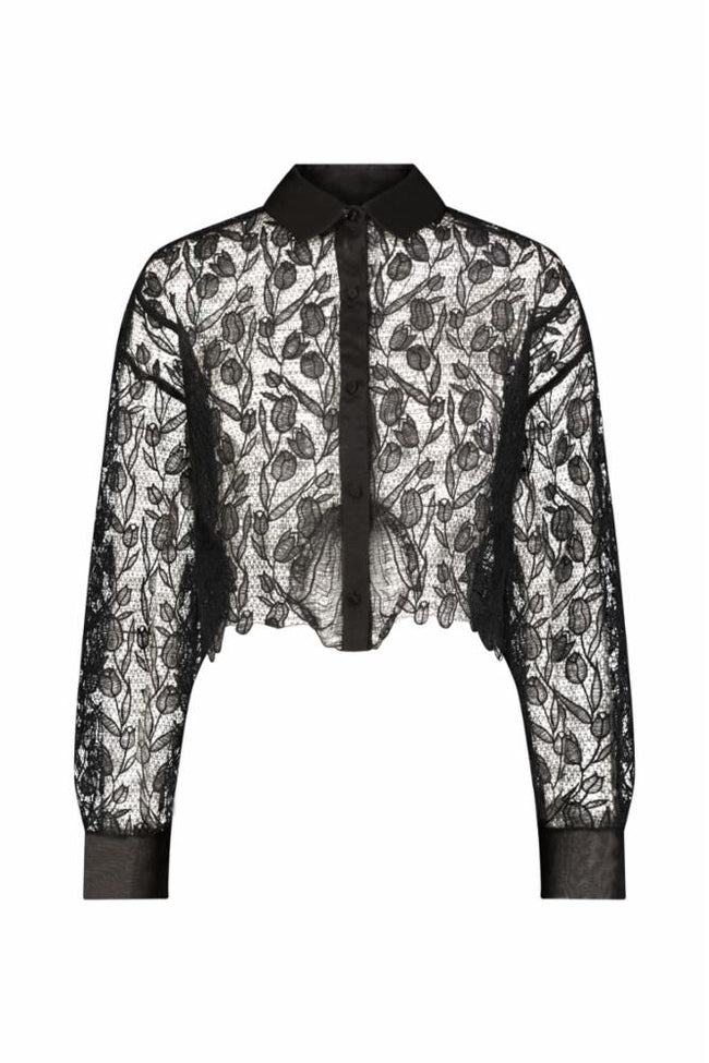 Tulip Lace Long Sleeve Cropped Button Down Shirt