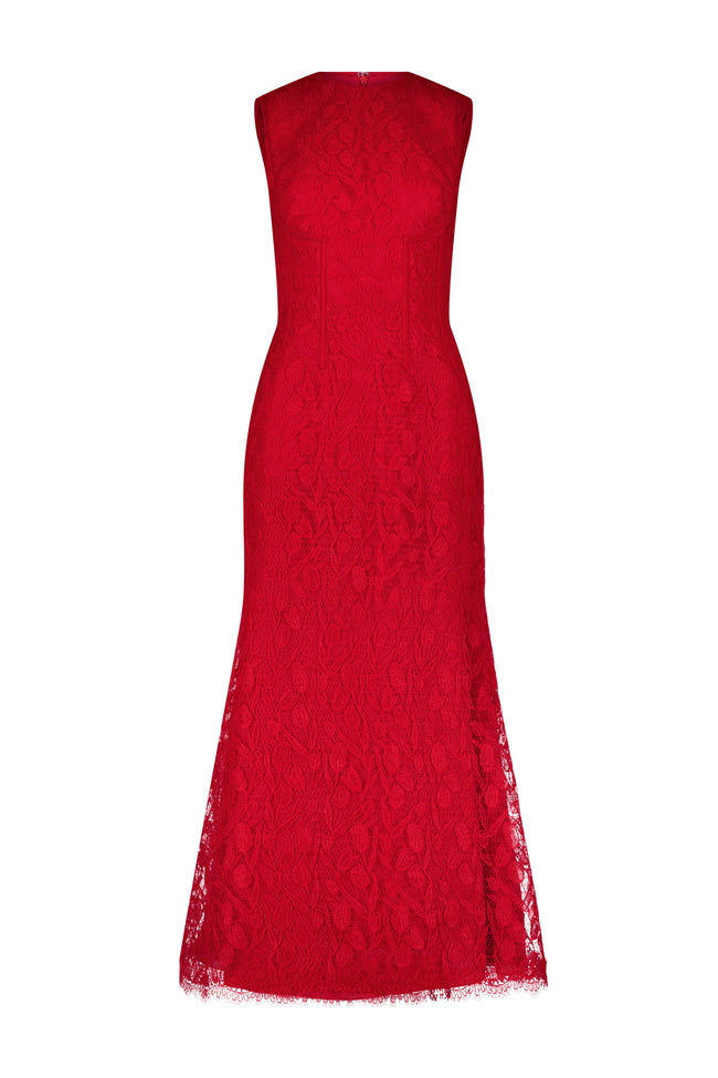 Tulip Lace Seamed A Line Dress