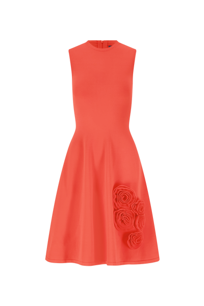 Rose Detail Knit Mini Dress
