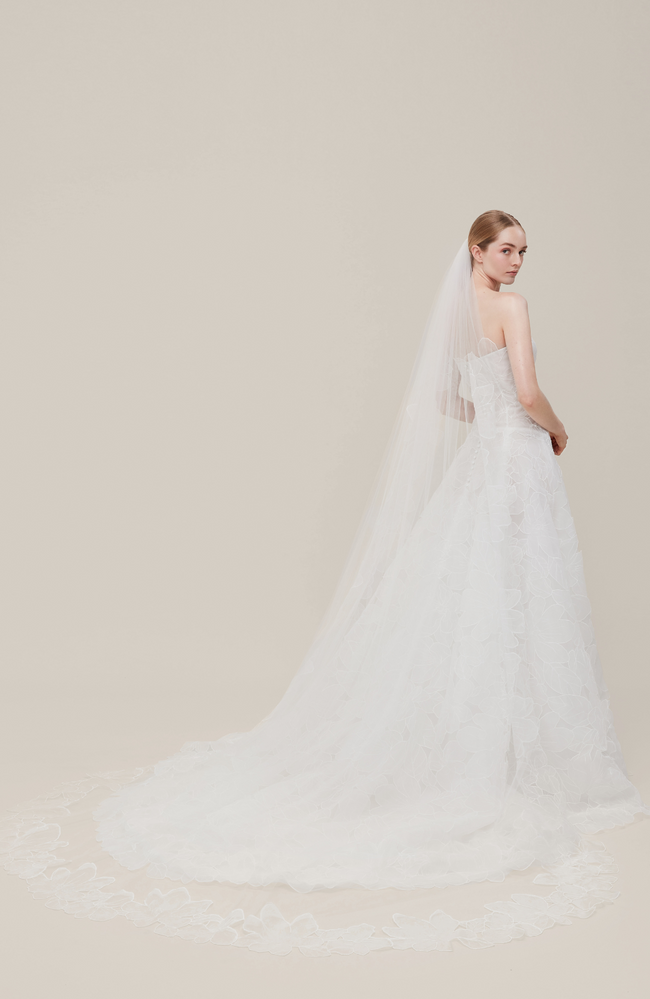 The Mayfair Veil